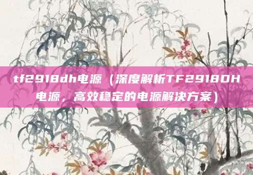 tf2918dh电源（深度解析TF2918DH电源，高效稳定的电源解决方案）