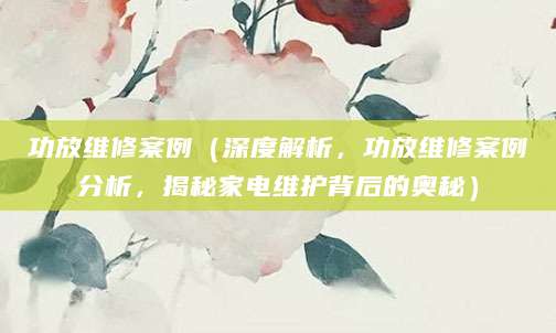 功放维修案例（深度解析，功放维修案例分析，揭秘家电维护背后的奥秘）