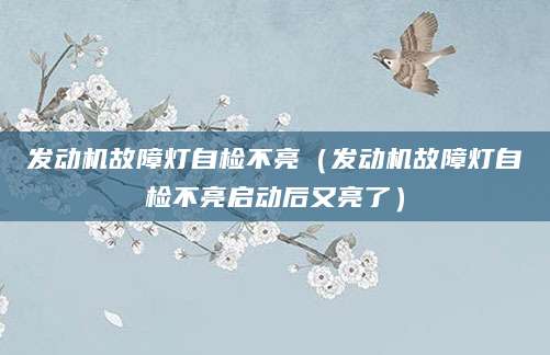 发动机故障灯自检不亮（发动机故障灯自检不亮启动后又亮了）