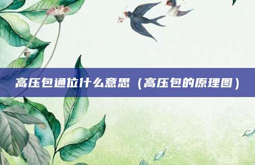 高压包通位什么意思（高压包的原理图）