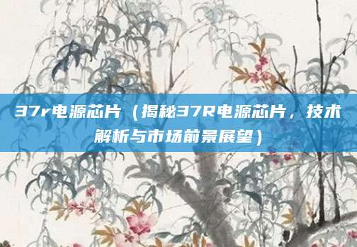 37r电源芯片（揭秘37R电源芯片，技术解析与市场前景展望）