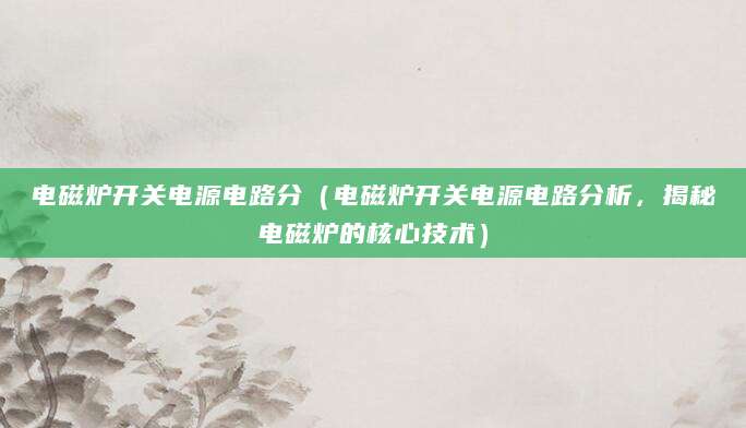 电磁炉开关电源电路分（电磁炉开关电源电路分析，揭秘电磁炉的核心技术）