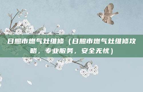 日照市燃气灶维修（日照市燃气灶维修攻略，专业服务，安全无忧）