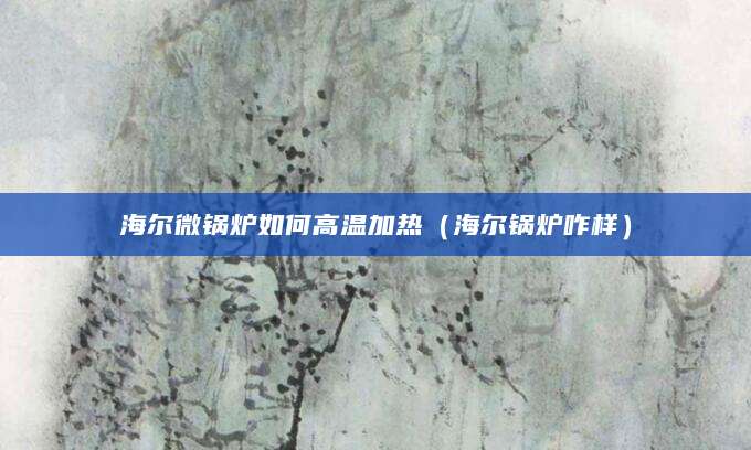 海尔微锅炉如何高温加热（海尔锅炉咋样）