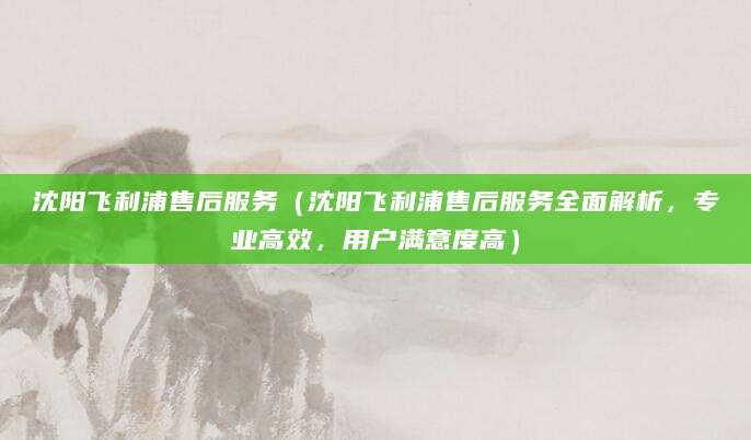 沈阳飞利浦售后服务（沈阳飞利浦售后服务全面解析，专业高效，用户满意度高）