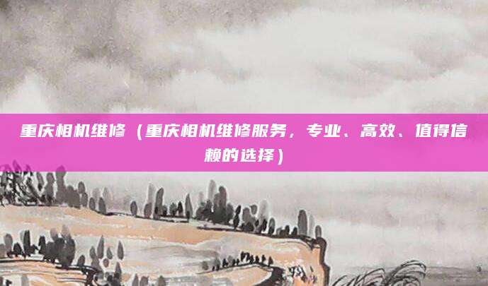 重庆相机维修(重庆相机维修服务,专业、高效、值得信赖的选择)