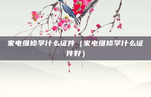 家电维修学什么证件（家电维修学什么证件好）