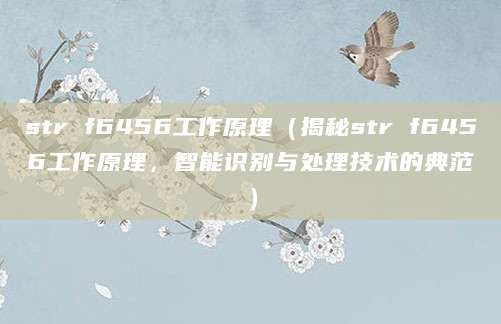 str f6456工作原理（揭秘str f6456工作原理，智能识别与处理技术的典范）