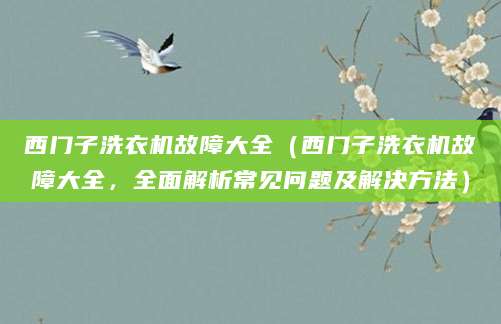 西门子洗衣机故障大全（西门子洗衣机故障大全，全面解析常见问题及解决方法）