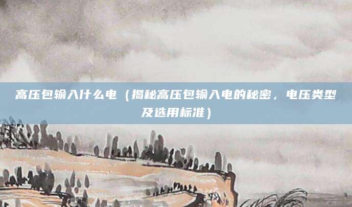 高压包输入什么电（揭秘高压包输入电的秘密，电压类型及选用标准）