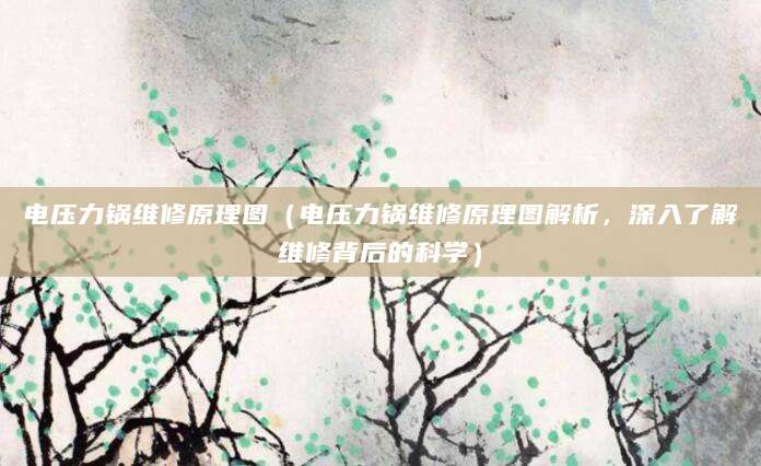 电压力锅维修原理图(电压力锅维修原理图解析,深入了解维修背后的科学)