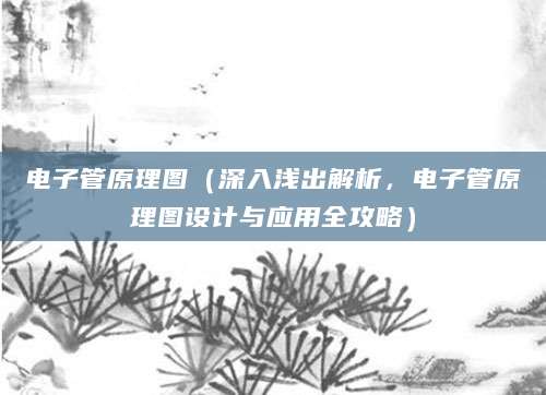 电子管原理图（深入浅出解析，电子管原理图设计与应用全攻略）
