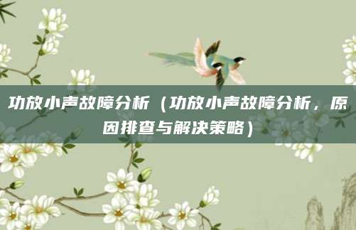 功放小声故障分析（功放小声故障分析，原因排查与解决策略）