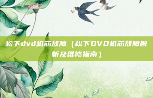 松下dvd机芯故障(松下DVD机芯故障解析及维修指南)