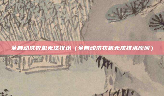 全自动洗衣机无法排水（全自动洗衣机无法排水原因）