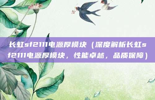 长虹sf2111电源厚模块（深度解析长虹sf2111电源厚模块，性能卓越，品质保障）