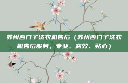 苏州西门子洗衣机售后(苏州西门子洗衣机售后服务,专业、高效、贴心)