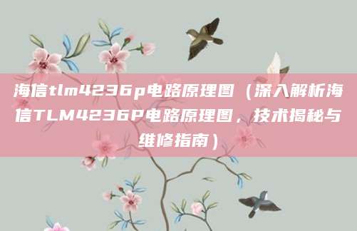 海信tlm4236p电路原理图（深入解析海信TLM4236P电路原理图，技术揭秘与维修指南）