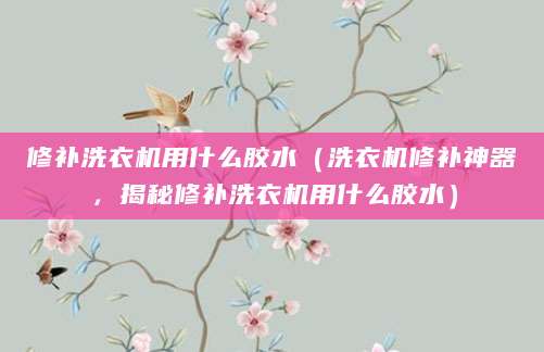 修补洗衣机用什么胶水(洗衣机修补神器,揭秘修补洗衣机用什么胶水)