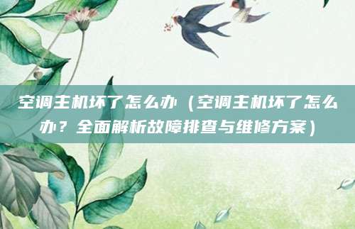 空调主机坏了怎么办（空调主机坏了怎么办？全面解析故障排查与维修方案）