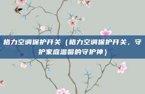 格力空调保护开关（格力空调保护开关，守护家庭温馨的守护神）