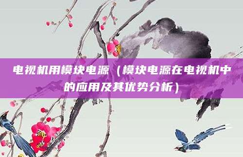 电视机用模块电源（模块电源在电视机中的应用及其优势分析）