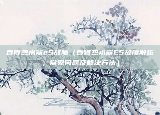 百得热水器e5故障（百得热水器E5故障解析，常见问题及解决方法）
