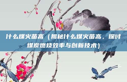 什么煤火苗高（揭秘什么煤火苗高，探讨煤炭燃烧效率与创新技术）