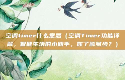 空调timer什么意思（空调Timer功能详解，智能生活的小助手，你了解多少？）