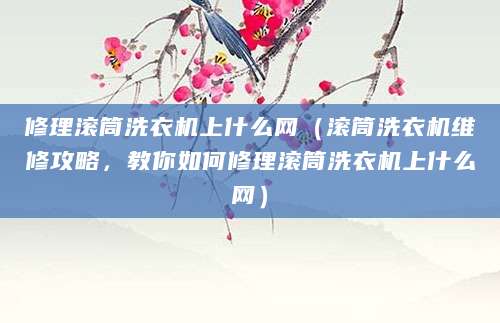 修理滚筒洗衣机上什么网（滚筒洗衣机维修攻略，教你如何修理滚筒洗衣机上什么网）