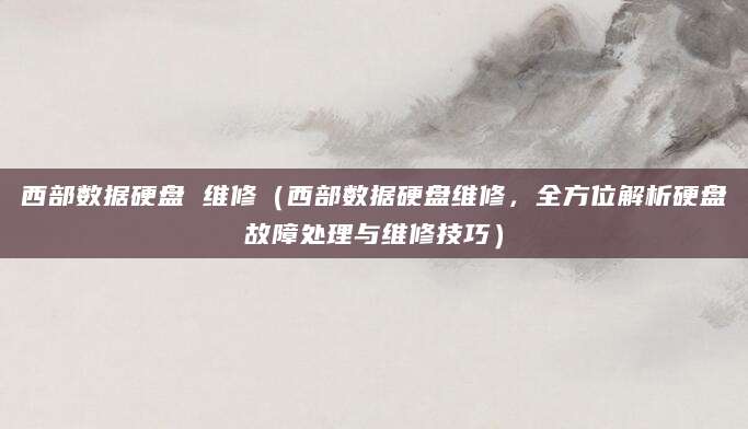 西部数据硬盘 维修（西部数据硬盘维修，全方位解析硬盘故障处理与维修技巧）