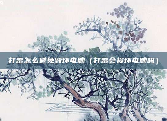 打雷怎么避免毁坏电脑(打雷会损坏电脑吗)