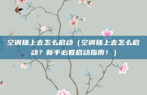 空调插上去怎么启动（空调插上去怎么启动？新手必看启动指南！）