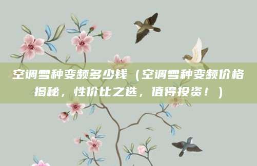 空调雪种变频多少钱（空调雪种变频价格揭秘，性价比之选，值得投资！）