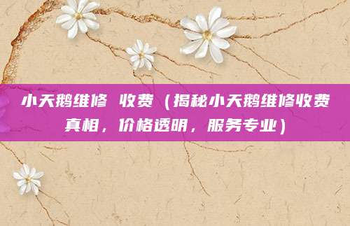 小天鹅维修 收费（揭秘小天鹅维修收费真相，价格透明，服务专业）
