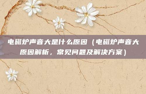 电磁炉声音大是什么原因(电磁炉声音大原因解析,常见问题及解决方案)