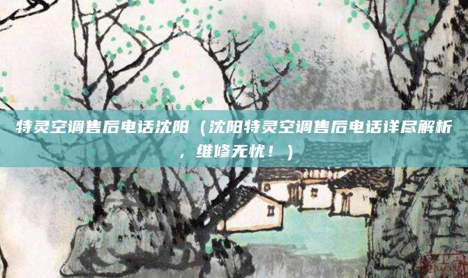 特灵空调售后电话沈阳（沈阳特灵空调售后电话详尽解析，维修无忧！）