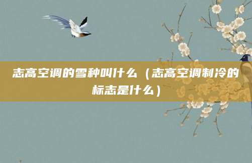 志高空调的雪种叫什么（志高空调制冷的标志是什么）