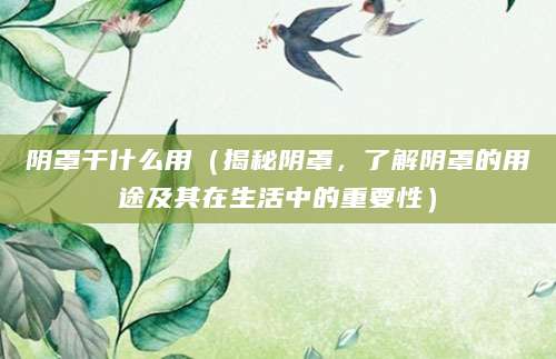 阴罩干什么用（揭秘阴罩，了解阴罩的用途及其在生活中的重要性）