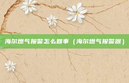 海尔燃气报警怎么回事（海尔燃气报警器）