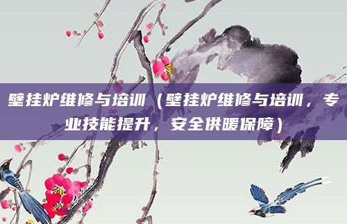 壁挂炉维修与培训（壁挂炉维修与培训，专业技能提升，安全供暖保障）