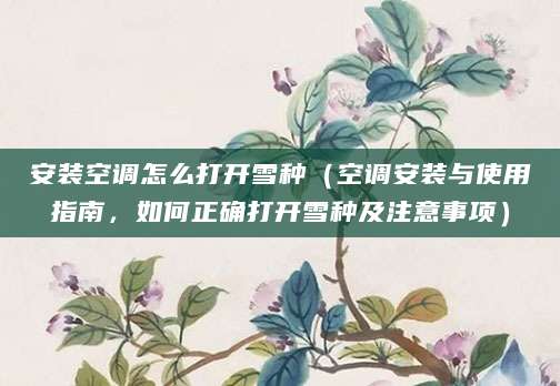 安装空调怎么打开雪种（空调安装与使用指南，如何正确打开雪种及注意事项）