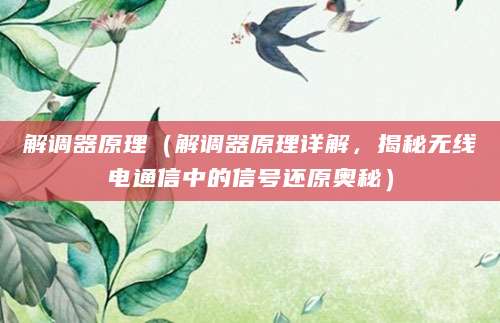 解调器原理（解调器原理详解，揭秘无线电通信中的信号还原奥秘）