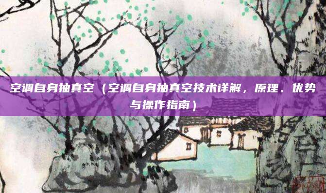 空调自身抽真空（空调自身抽真空技术详解，原理、优势与操作指南）