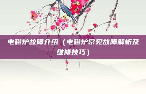 电磁炉故障介绍（电磁炉常见故障解析及维修技巧）
