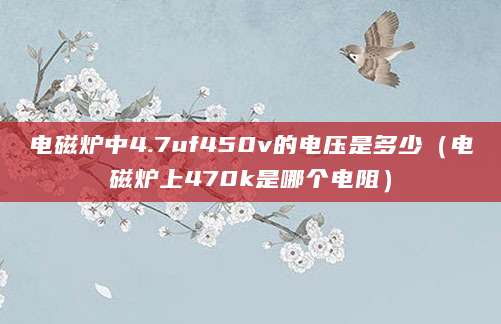 电磁炉中4.7uf450v的电压是多少（电磁炉上470k是哪个电阻）