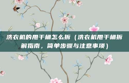 洗衣机的甩干桶怎么拆（洗衣机甩干桶拆解指南，简单步骤与注意事项）