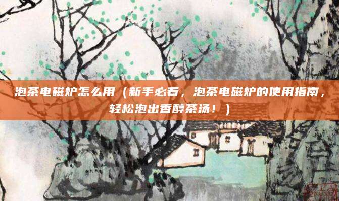泡茶电磁炉怎么用（新手必看，泡茶电磁炉的使用指南，轻松泡出香醇茶汤！）