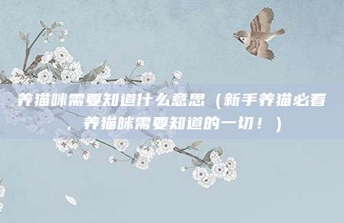 养猫咪需要知道什么意思（新手养猫必看，养猫咪需要知道的一切！）
