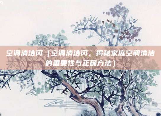 空调清洁闪（空调清洁闪，揭秘家庭空调清洁的重要性与正确方法）